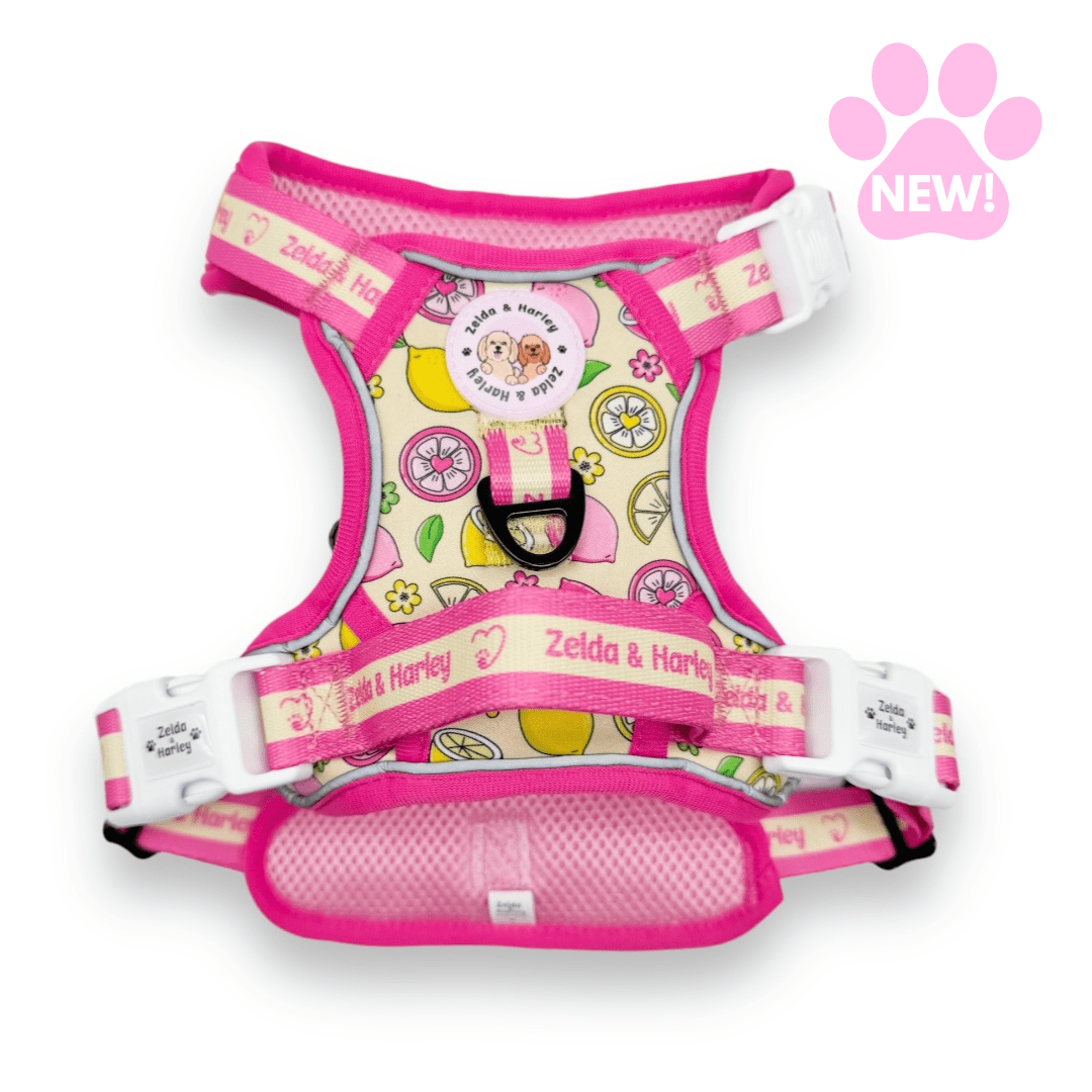 Outlet Puppy Pink Lemonade Set