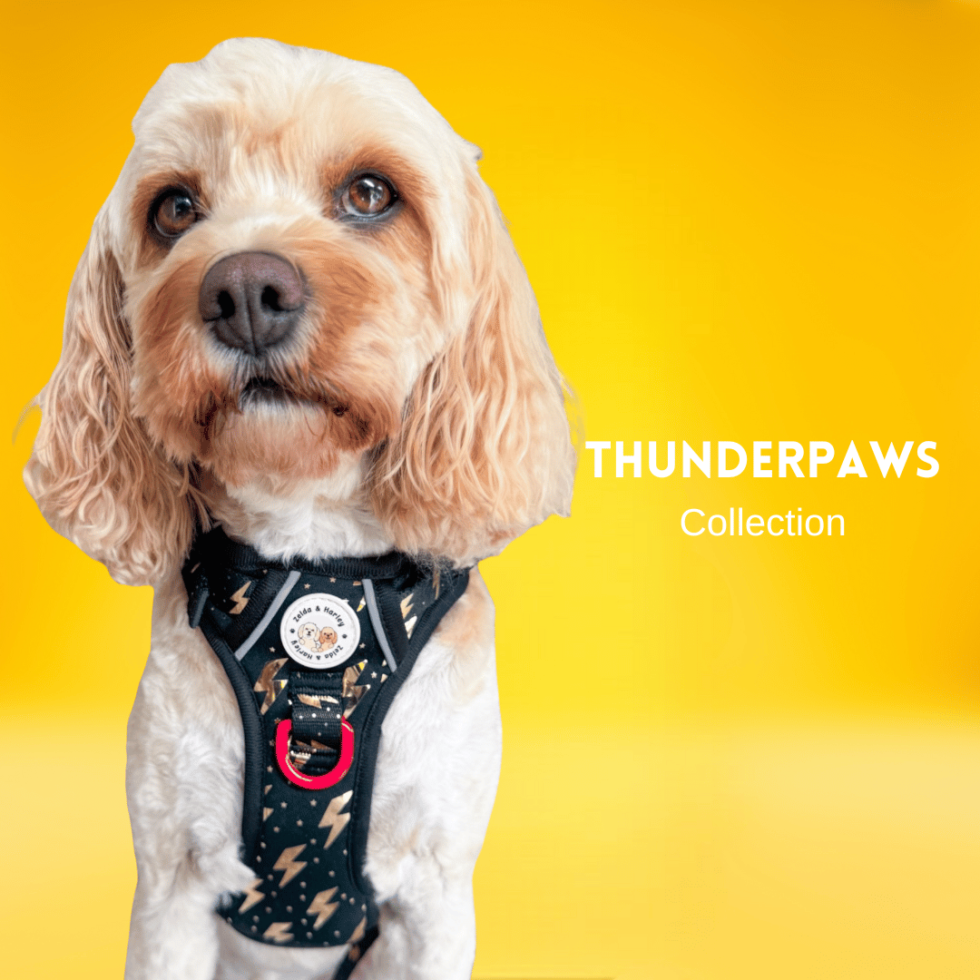 ThunderPaws