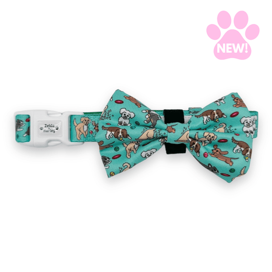 Zelda & Harley Collar Zoomies 2.0 Dog Collar & Free Bow Tie