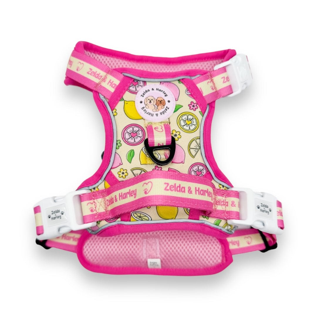 Zelda & Harley Harness Pink Lemonade - Adventure No Pull Harness