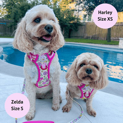 Zelda & Harley Harness Pink Lemonade - Adventure No Pull Harness