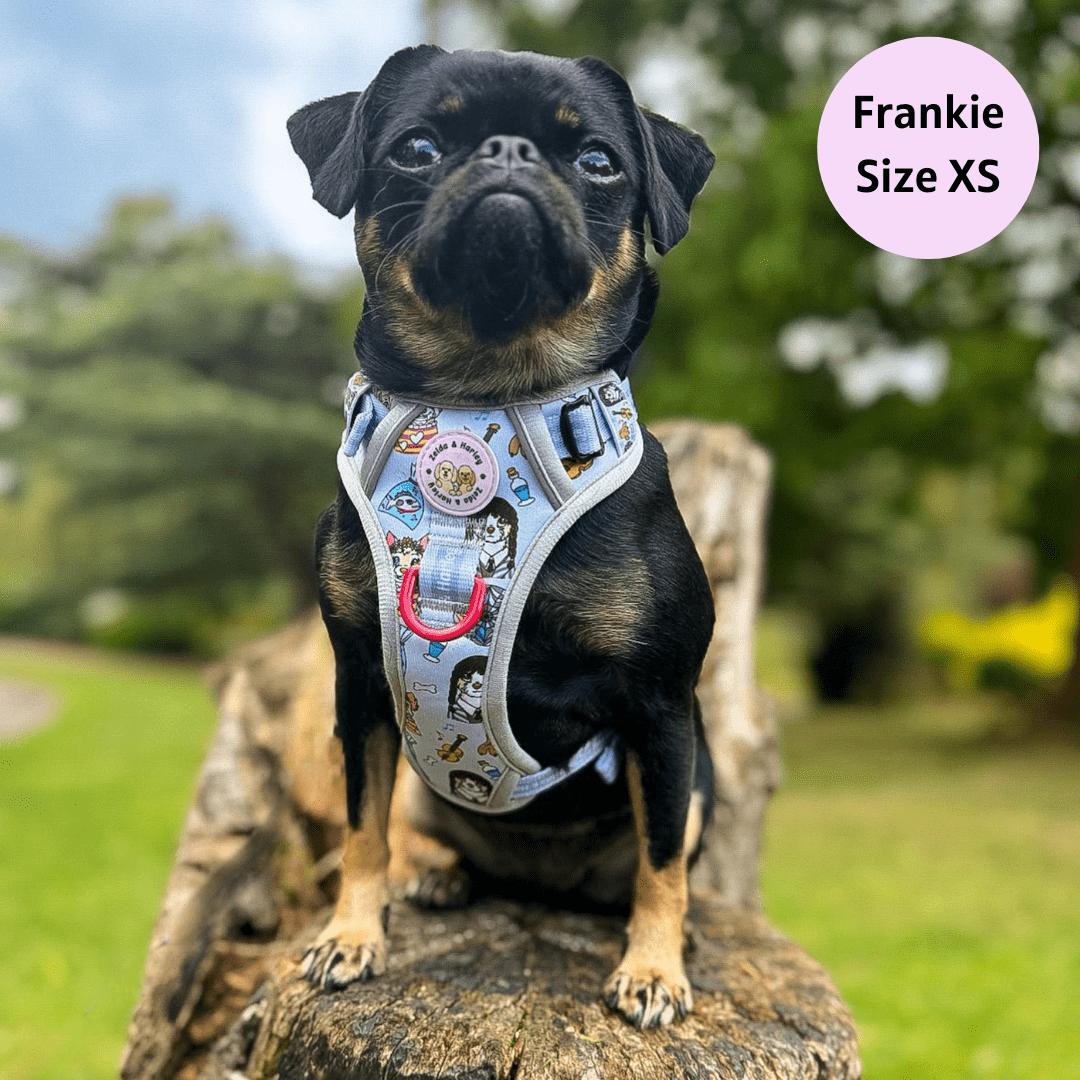 Pug life harness contact number hotsell