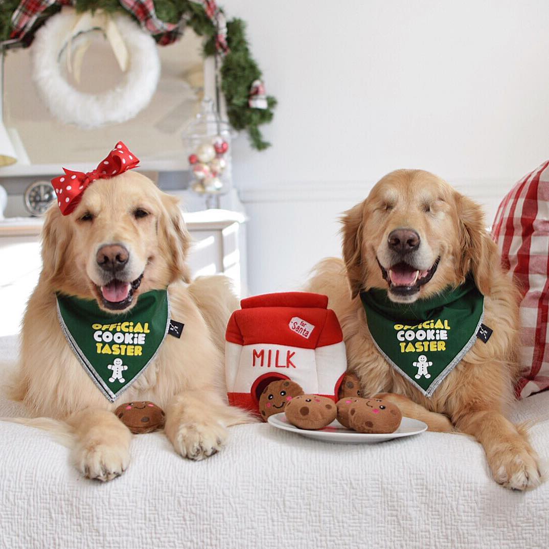 Holiday Burrow Santa s Milk and Cookies The Dog Mom Store